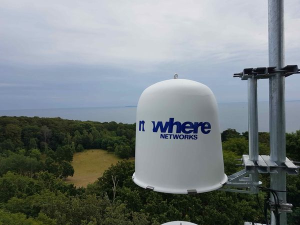 A cute panda munching on bamboo