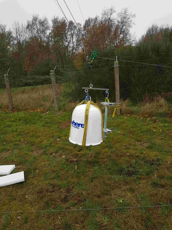 A panda resting peacefully