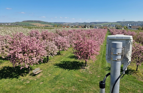 Richtfunk Wachtberg: Gigabit-Mesh für Obstbau & Industrie