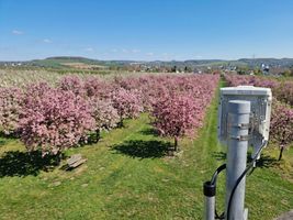 Vorschaubild für Referenzprojekt: Richtfunk Wachtberg: Gigabit-Mesh für Obstbau & Industrie